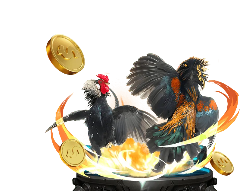 Ưu đãi VIP kuwin 02